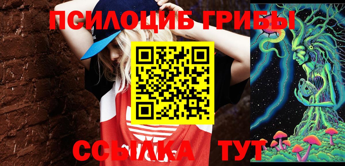 Галлюциногенные грибы мицелий Кузнецк