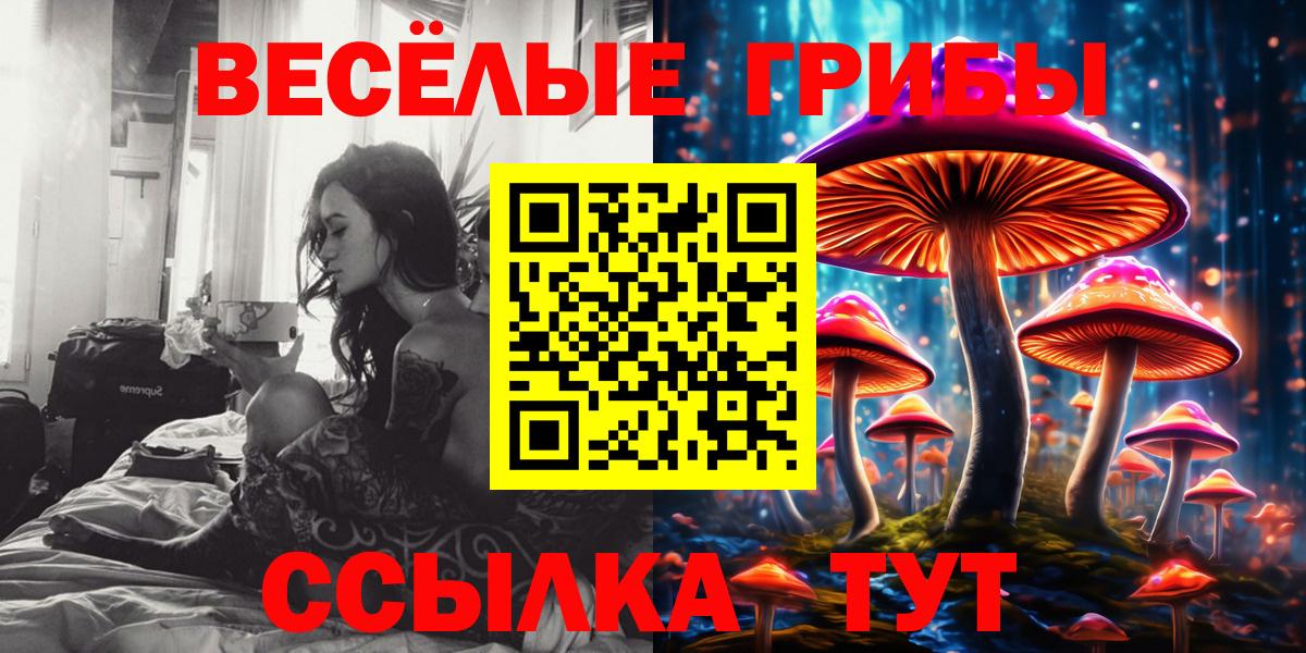 Кузнецк  Псилоцибиновые грибы мухоморы  Вход с VPN  Псилоцибиновые грибы Psilocybe 